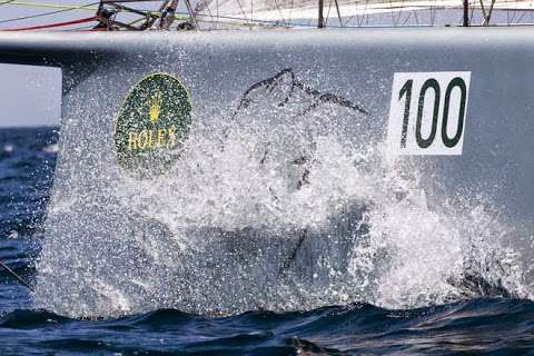 Ocean Marine/Leopard Yacht Charters photo
