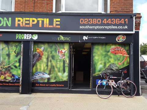 Southampton Reptile photo